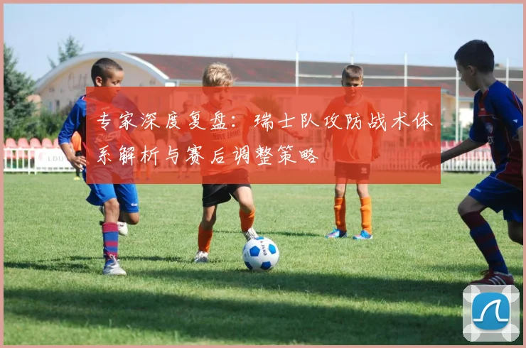 专家深度复盘：瑞士队攻防战术体系解析与赛后调整策略